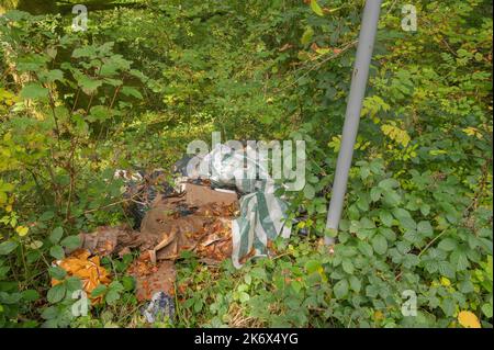 Fliegen gekippter Hausmüll im Wald am Straßenrand, Carmarthenshire, Wales, Großbritannien Stockfoto