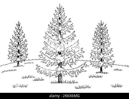 Lärche Baum Hain Grafik schwarz weiß Landschaft Skizze Illustration Vektor Stock Vektor