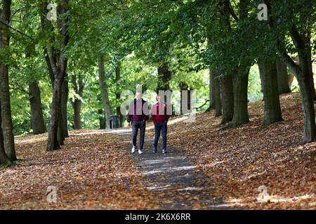 Birmingham, Großbritannien. 16. Oktober 2022. Aston Villa-Fans kommen zum Premier League-Spiel in Villa Park, Birmingham. Bildnachweis sollte lauten: Darren Staples/Sportimage Credit: Sportimage/Alamy Live News Stockfoto