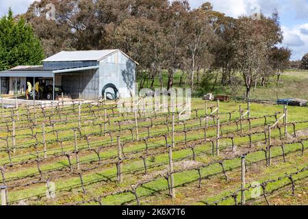 Orange New South Wales, Mortimers Weingut und Weingut in der Region NSW, Australien Stockfoto