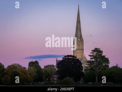 Salisbury Cathedral Abend blaue Stunde von Harnham Water Meadows Wiltshire Südwesten Englands Stockfoto