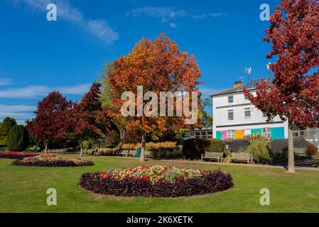 Chalkwell Hall in Chalkwell Park, Westcliff on Sea, Southend on Sea, Essex, Großbritannien. Georgianisches Gebäude, das von Metal Southend als Kunst- und Kulturzentrum genutzt wird Stockfoto