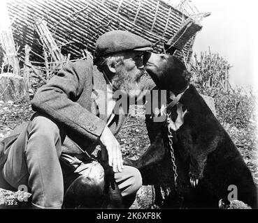 Regisseur JOHN HUSTON freundet sich während der Dreharbeiten ZUR BIBEL mit einem Bären am Drehort offen an: Am Anfang ... 1966 Regisseur / Erzähler JOHN HUSTON Drehbuch Christopher Fry Musik Toshiro Mayuzumi und (nicht im Guthaben) Ennio Morricone Kostüme Maria De Matteis Italien-USA Koproduktion Dino de Laurentiis Cinematografica / Seven Arts Productions / Thalia AG / Twentieth Century Fox Stockfoto