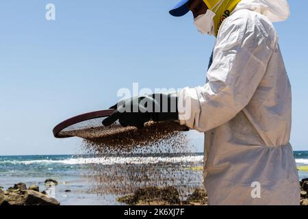 Salvador, Bahia, Brasilien - 26. Oktober 2019: Reinigungsmittel extrahieren Öl vom Strand Pedra do Sal in der Stadt Salvador. Der Standort war von einem o betroffen Stockfoto