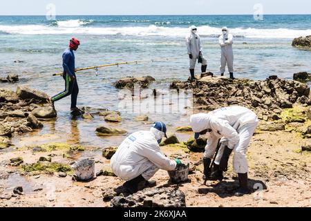 Salvador, Bahia, Brasilien - 26. Oktober 2019: Reinigungsmittel extrahieren Öl vom Strand Pedra do Sal in der Stadt Salvador. Der Standort war von einem o betroffen Stockfoto