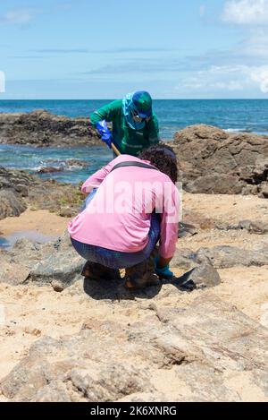 Salvador, Bahia, Brasilien - 03. November 2019: Reinigungsmittel und Freiwillige extrahieren Öl aus dem Strand von Rio Vermelho in der Stadt Salvador. Die Seite war Stockfoto