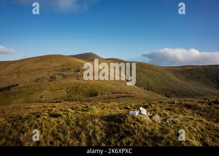 Torfüberdachter Berg im Wild Nephin National Park in Irland. Es liegt an der Westküste im Nordwesten von Mayo. Stockfoto