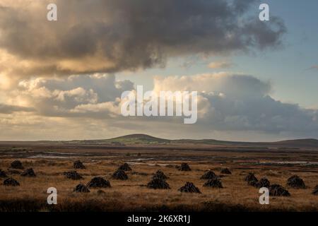 Maschinell geschnittener Rasen trocknet in der riesigen Landschaft des Nordwestirlands. Stockfoto