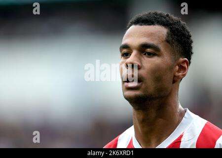 EINDHOVEN - Cody Gakpo vom PSV Eindhoven während des niederländischen Eredivisie-Spiels zwischen PSV Eindhoven und FC Utrecht am 16. Oktober 2022 im Phillips Stadium in Eindhoven, Niederlande. ANP JEROEN PUTMANS Stockfoto