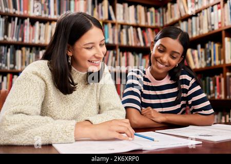 Vergleichen Sie Notizen. Zwei junge Studentinnen, die gemeinsam in einer Bibliothek am College studieren. Stockfoto