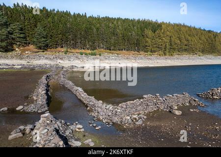 Haweswater, Cumbria - Oktober 16. 2022 - der verlorene englische Weiler Mardale Green am nördlichen Ende von Haweswater im Lake District ist aus den niedrigen Gewässern hervorgegangen. Trotz heftigem Regen ist der Stausee immer noch sehr niedrig und deckt trockene Steinmauern und das, was von einem alten Haus mit Steineingang übrig ist, ab. Es wurde Ende 1930s untergetaucht, als der Wasserstand des Tals See von Manchester Corporation angehoben wurde, um Haweswater Reservoir zu bilden. Ein Großteil des Vereinigten Königreichs befindet sich immer noch unter Dürrebedingungen. PIC Credit: Scott CM/Alamy Live News Stockfoto