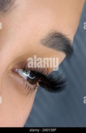 Nahaufnahme der Wimpern-Erweiterungen im Schönheitssalon Makroauge Stockfoto