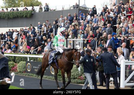 Ascot, Bergen, Großbritannien. 15.. Oktober 2022. Horse Run to Freedom unter Jockey Dane O'Neill wurde Zweiter im QIPCO British Champions Sprint Stakes (Klasse 1) (Gruppe 1) (British Champions Series). Trainer Henry Candy, Wantage. Quelle: Maureen McLean/Alamy Stockfoto