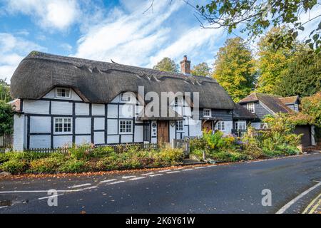 Reetgedeckte Hütten im Micheldever Village, Hampshire, England, im Herbst oder oktober Stockfoto