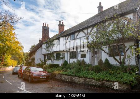 Reetgedeckte Hütten im Micheldever Village, Hampshire, England, im Herbst oder oktober Stockfoto