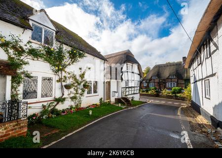 Reetgedeckte Hütten im Micheldever Village, Hampshire, England, im Herbst oder oktober Stockfoto