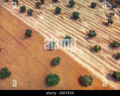 Luftaufnahme von Kulturfeldern in Castilla La Mancha, Spanien. Stockfoto