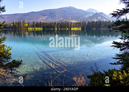 Klarer See mit Baumstämmen auf dem Grund, grüne Bäume umgeben, Berge im Hintergrund Stockfoto