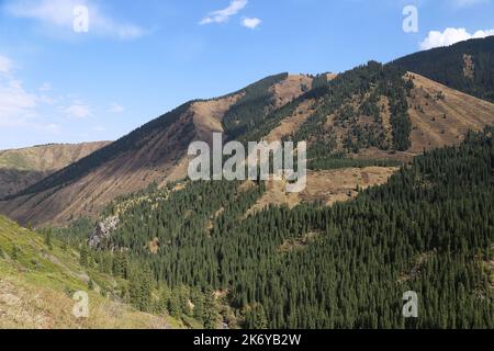 Tien-Shan-Gebirge in der Nähe des unteren Kolsay-Sees, Kolsay-Seen-Nationalpark, Saty, Tien-Shan-Gebirge, Almaty-Region, Kasachstan, Zentralasien Stockfoto