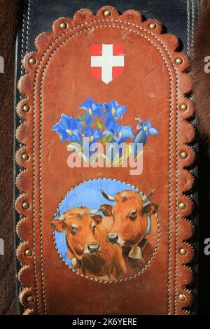 Courroie en cuir sur le cou d'une vache. Saint-Gervais-les-Bains. Station de Sports d'hiver. Haute-Savoie. Auvergne-Rhône-Alpes. Frankreich. Europa. Stockfoto