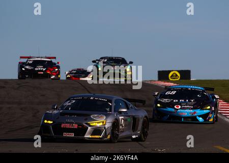 Donington Park, Großbritannien. 16. Oktober 2022. Sennan Fielding fährt mit dem Steller Motorsport Audi GT4 während der Intelligent Money British GT Championship, Donington Park. 16. Oktober 2022. Foto von Jurek Biegus. Nur zur redaktionellen Verwendung, Lizenz für kommerzielle Nutzung erforderlich. Quelle: Jurek Biegus/Alamy Live News Stockfoto