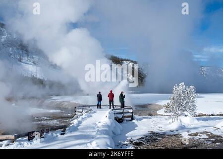 WY05125-00....Wyoming - Mattierte Bäume und Aussichtsplattform entlang des Firehole River, Biscuit Basin, im Yellowstone National Park. Stockfoto