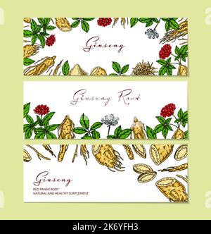 Set von Ginseng bunten horizontalen Designs. Handgezeichnete botanische Vektorgrafik im Skizzenstil. Kann für Verpackung, Etikett, Abzeichen verwendet werden. Kräuter Stock Vektor