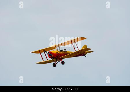 De Havilland DH82 Tiger Moth landet auf dem Wellesbourne Airfield, Warwickshire, Großbritannien (G-ALWW) Stockfoto