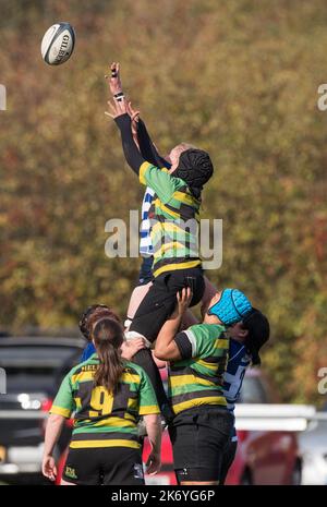 Englische Frauen Amateur Rugby Union Spieler spielen in einem Ligaspiel. Stockfoto