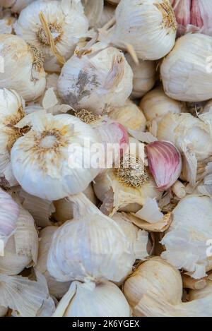 Spanische rosa Knoblauchzwiebeln. Ausgestellt am Straßenmarktstand Stockfoto