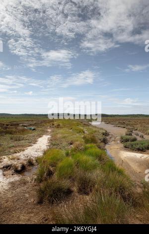 Landschaft des Bassin d'Arcachon in Frankreich Stockfoto