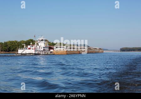 Schlepptau mit leeren Lastkähnen auf dem Upper Mississippi River im Frühherbst. Viele Lastkähne werden zur Vorbereitung auf die Ernte im Mittleren Westen neu positioniert. Stockfoto