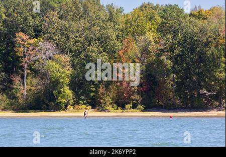 Ein Mann, der im Frühherbst am Kentucky Lake im seichten Wasser fischt. Die Blätter beginnen Anfang Oktober ihre Farbe zu ändern. Stockfoto