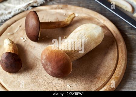 Frische wilde Bolete-Pilze, die in einem Wald auf einem hölzernen Schneidebrett gesammelt wurden, aus der Nähe Stockfoto