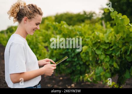 Seitenansicht einer Farmerin, die ein Tablet hält, um nach landwirtschaftlichen Problemen zu forschen und Daten zu analysieren. Speicherplatz kopieren. Realität in der Landwirtschaft. Intelligente Landwirtschaft Stockfoto