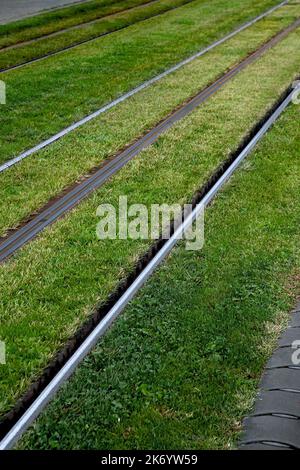 Straßenbahnschienen auf Rasen in Bordeaux Frankreich Stockfoto