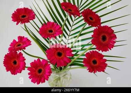 BLUMENARRANGEMENT: Gerberas in Glasvase Stockfoto