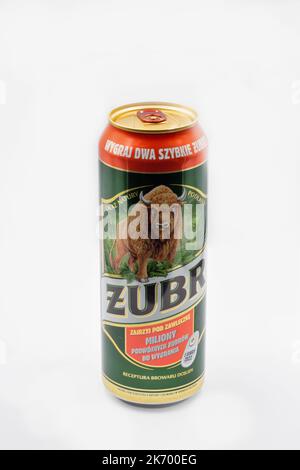 Kiew, Ukraine - 01. Juni 2022: Studio-Shooting von Zubr Polnisches Lagerbier kann in Nahaufnahme auf Weiß stehen. Bier wird von Kompania Piwowarska SA gebraut. Zubr seit dem D Stockfoto