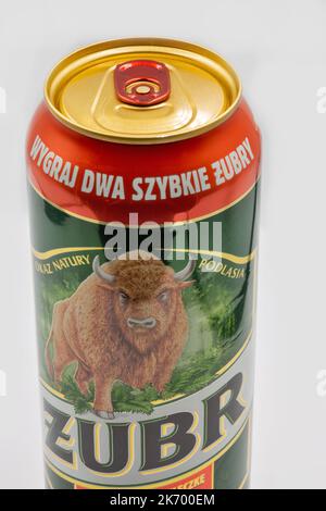 Kiew, Ukraine - 01. Juni 2022: Studio-Shooting von Zubr Polnisches Lagerbier kann in Nahaufnahme auf Weiß stehen. Bier wird von Kompania Piwowarska SA gebraut. Zubr seit dem D Stockfoto