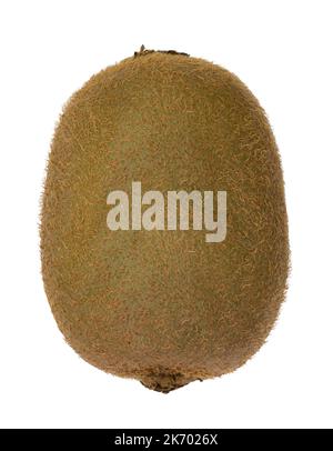 Ganze realistische Kiwifruit oder Actinidia deliciosa (chinesische Stachelbeere) isoliert auf weißem Hintergrund Stockfoto