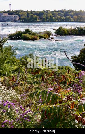 Die Stromschnellen des Niagara-Flusses über den Horseshoe Falls der Niagarafälle, fotografiert von Goat Island auf der amerikanischen Seite der Wasserfälle. Stockfoto