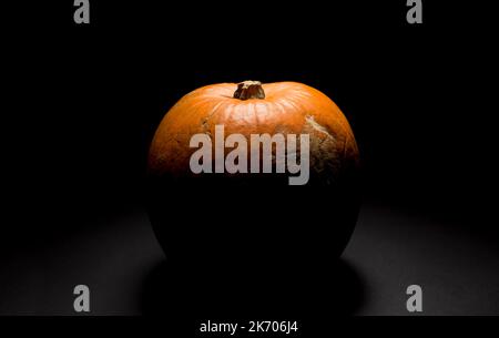 Ein Kürbis in einem dunklen Raum, Studiolicht verwendet. Stockfoto