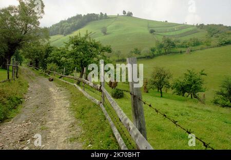 Bran, Kreis Brasov, Rumänien, ca. 1999. Unbefestigte Landstraße zwischen Weiden. Stockfoto