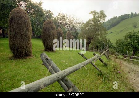 Bran, Kreis Brasov, Rumänien, ca. 1999. Weiden und Heuhaufen durch eine unbefestigte Landstraße. Stockfoto