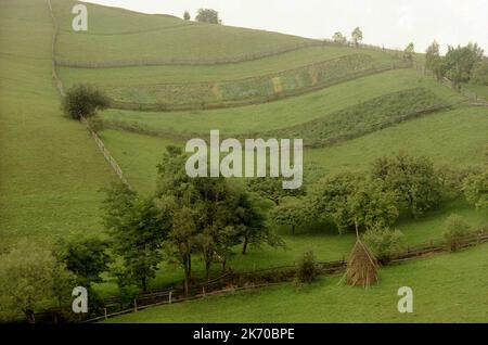 Bran, Kreis Brasov, Rumänien, ca. 2000. Grundstücke auf dem Berg. Nebliger Sommertag. Stockfoto