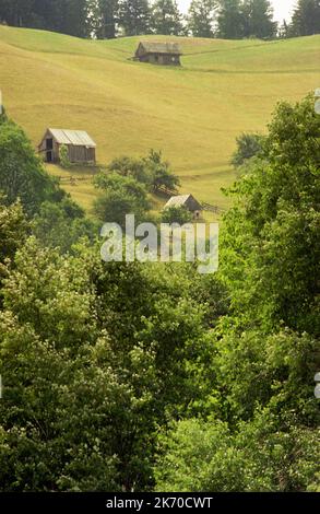 Bran, Kreis Brasov, Rumänien, ca. 2000. Sommerlandschaft mit Holzschuppen auf dem Berg. Stockfoto