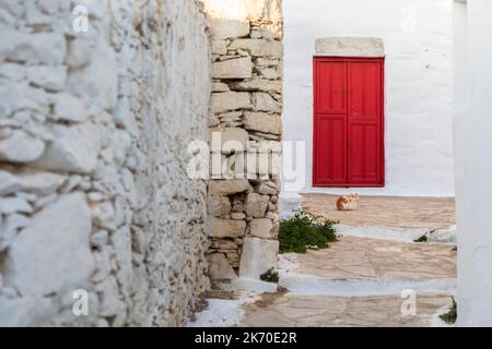 Katze auf Steinstraße mit roter Tür in Amorgos, Griechenland Stockfoto