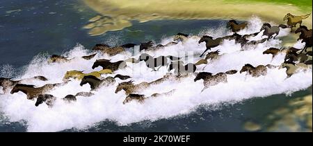 PFERD STAMPEDE, GEIST: HENGST VON CIMARRON, 2002 Stockfoto