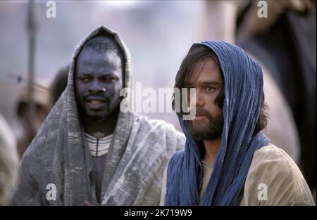 HOUNSOU, LEDGER, DIE VIER FEDERN, 2002 Stockfoto