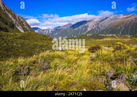 Mount Tasman Valleys, Aoraki Mt Cook Nationalpark Südliche Alpen Berg Südinsel Neuseeland Stockfoto